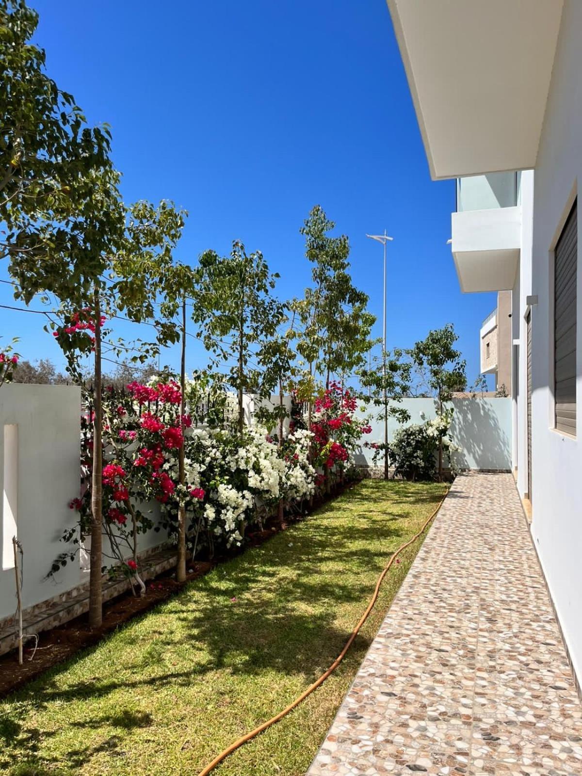 Villa Africa Esauira Exterior foto